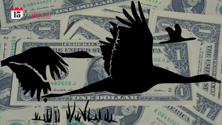 [OPINIÓN] Dolarización: ¿el cisne negro?