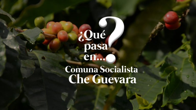 [VÍDEO] ¿Qué pasa en la Comuna Che Guevara en Mérida?