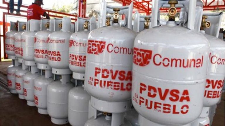 [LUCHAS] “La privatización no soluciona el grave problema de gas”