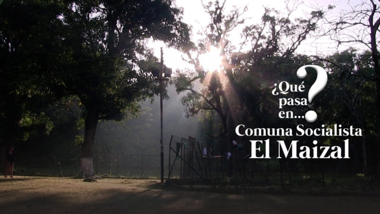 [VIDEO] ¿Qué pasa en la Comuna El Maizal en Lara?