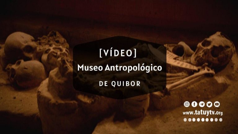 [VÍDEO] ¿Qué Pasa en el Museo Antropológico Francisco Tamayo en Lara?