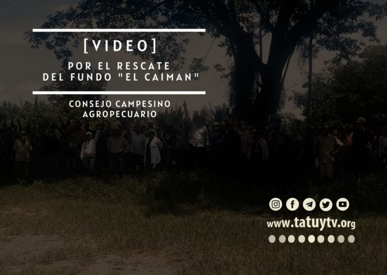 [VÍDEO] ¿Que pasa en el Consejo Campesino Agropecuario «La Mano de Dios» en Mérida?