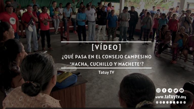 [VÍDEO] ¿Qué pasa en el Consejo Campesino Hacha, Cuchillo y Machete en Mérida?