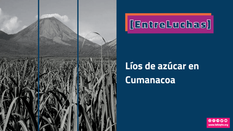 [ENTRELUCHAS] Líos de azúcar en Cumanacoa