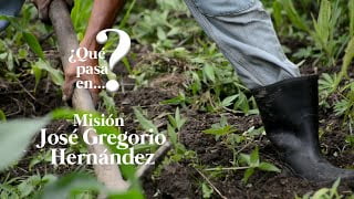 ¿Qué pasa en la Misión José Gregorio Hernández en Mérida?