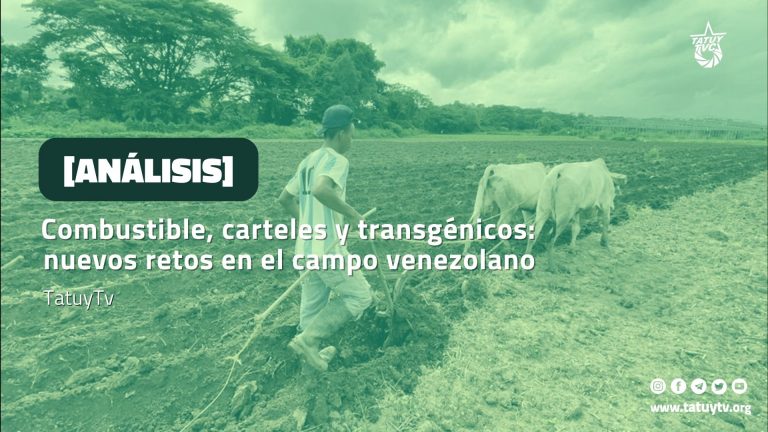 [ANÁLISIS] Combustible, carteles y transgénicos: nuevos retos en el campo venezolano