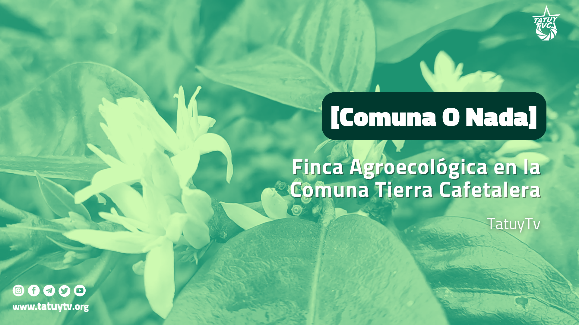 [Comuna O Nada] Finca Agroecológica en la Comuna Tierra Cafetalera
